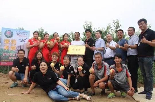 对"深州蜜桃"在品类和产地上做了扩展,同时采取农村电商培训,平台互换