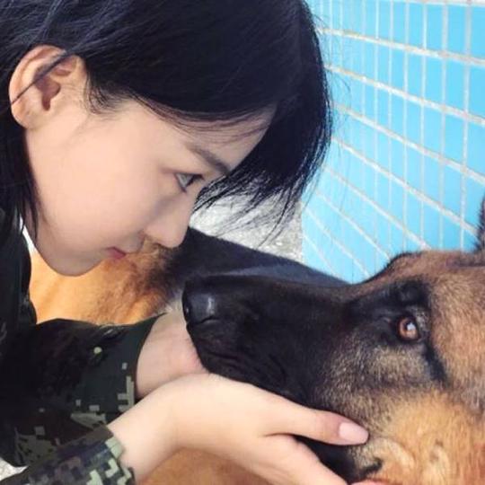 张馨予参加神犬奇兵,一档湖南卫视自制的综艺,为此剪短了头发,和狗狗
