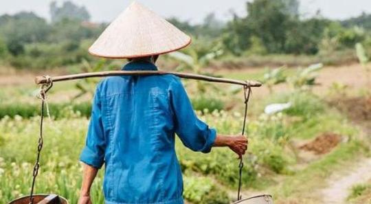 最适合农村人的小生意，农村3个商机你发现了吗?今年干最赚钱!