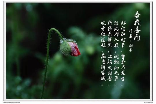 社会正文这段视频是刘学朗诵的杜甫名篇《春夜喜雨》,很有专业的