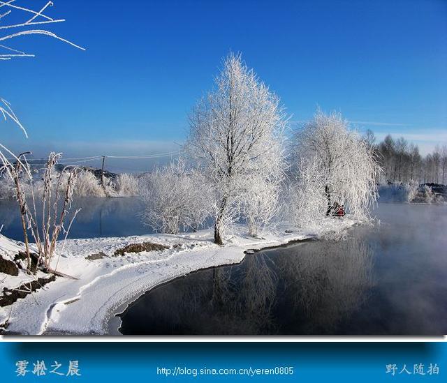 雪花飘飘北风萧萧为什么在国外火