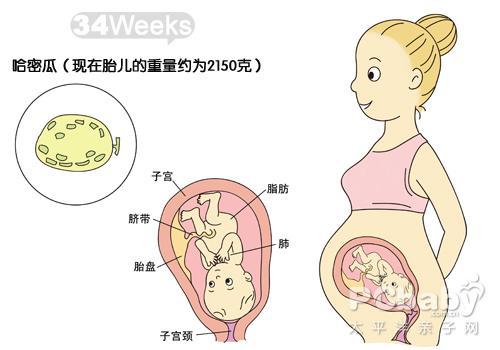 孕期如何判断胎动的好坏