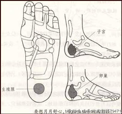 怀孕有子宫肌瘤和卵巢囊肿怎么办