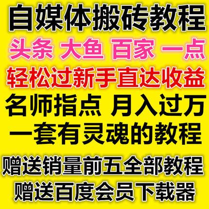 2019自媒体原创短视频学习教程抖音淘宝客网赚项目创业赚钱互联网