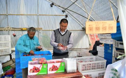 农民返乡创业找不到合适的项目做什么好呢?3个小生意不妨考虑下