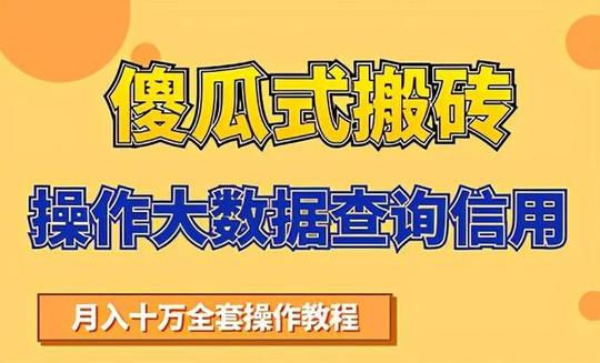 搬砖操作大数据查询信用项目赚钱教程，祝你快速月入6万【pdf教程】pic