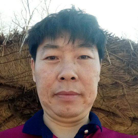 难得有情人