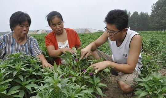 老农常说“人穷不碰三生意，没钱不做三买卖”，真的很现实