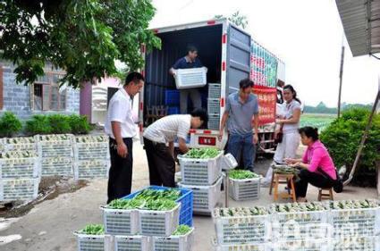 北京新发地蔬菜水果粮油调料肉类全食材一站式配送