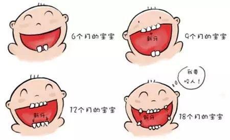 宝宝长牙顺序图片