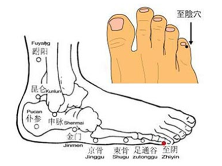 教你怎么判断胎儿发育情况