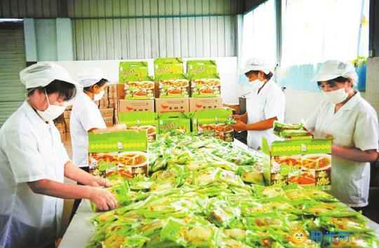 生态农业创业项目:农产品加工