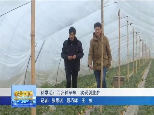 徐学明:回乡种草莓实现创业梦