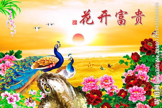 花开富贵牡丹花孔雀图片