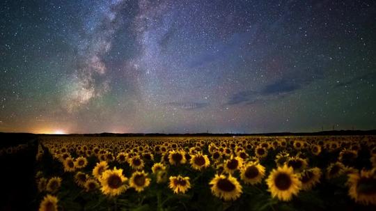 视频素材实拍视频延时摄影英仙座流星雨星空高清视频素材_1_1