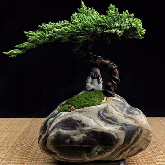 天然真石头加工鹅卵石花盆华安玉植物菖蒲创意盆景九龙壁石花盆