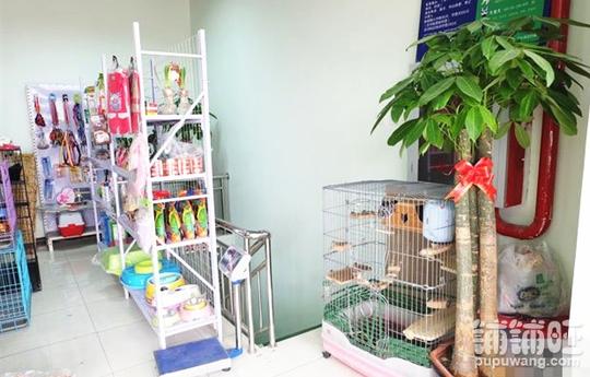 北京昌平区回龙观营业中宠物店转让昌平区宠物店转让北京铺铺旺