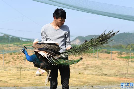 新余多措并举助返乡农民工创业,就业