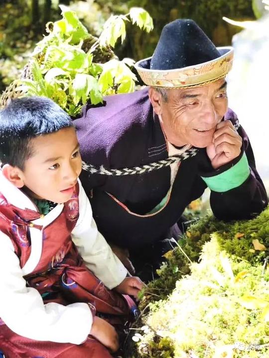 为了好几万现金,一位90后放下了工作飞到西藏的林芝