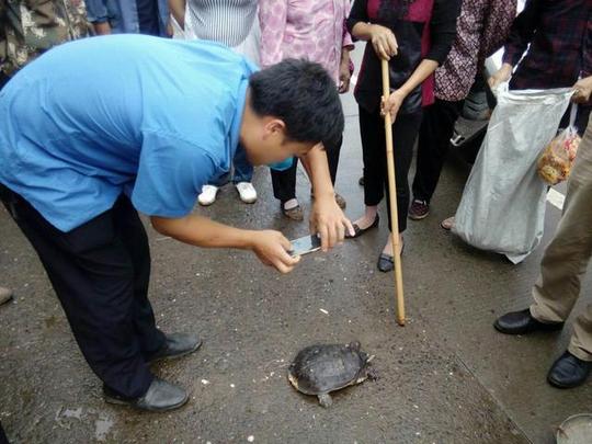 农村集市上的骗局:骗子套路太深了