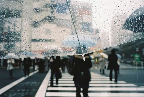 爱的呵护伤感雨景空间心情大图_唯美图片-碧