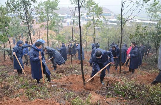 向力力等郴州市领导开种全省首个碳汇林基地