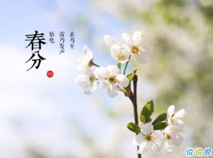 朋友圈赏樱花的高级文案