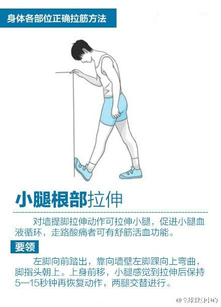 如何教导幼儿了解身体各部位