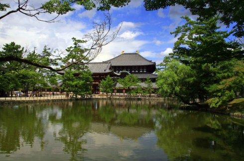 奈良有很多著名的寺庙和神社,其中东大寺以其巨大的木结构大佛