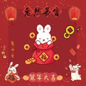 兔然暴富(兔子牙)
