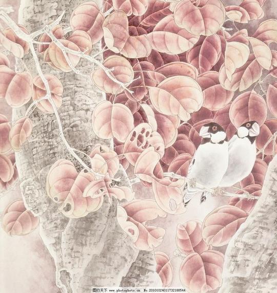 小憩动物风景画工笔画国画花绘画书法绿叶鸟小憩设计素材