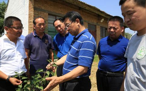 中国工程院院士、中国农业大学教师张福锁(右三)在洛川县苹果生产基地调研