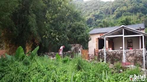 三剑客在海陵岛改造民房，种花种菜养猫狗，过着有山有海的生活