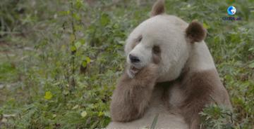 西安出发去看七仔相关长尾关键词有哪些