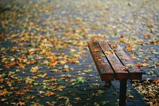 下雨天图片唯美和心情的_唯美意境图片_窝窝qq网