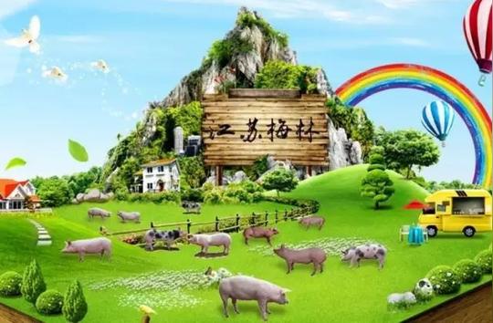 智尚美开心岛-梅林百万小猪的快乐养殖锐捷智慧无线记录小猪成长每一步