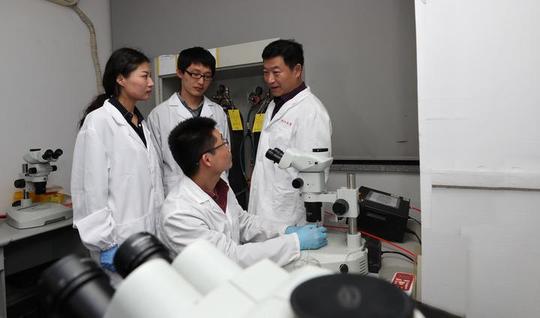 国际著名学术期刊《自然》4月4日在线报道了浙江大学一项最新发现,让