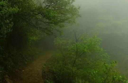 日落林归鸟,烟上故人村.临风凭泪洒,不能表寸心.