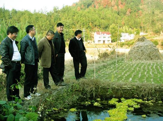 乡领导实地考察我村大学生村官创业基地前期选址工作