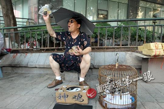 老人街头摆摊揭开神鸡妙算骗局