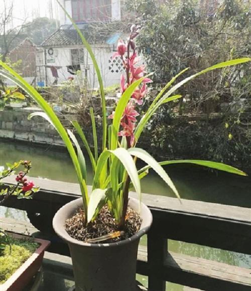 婴儿什么时候是快速生长期