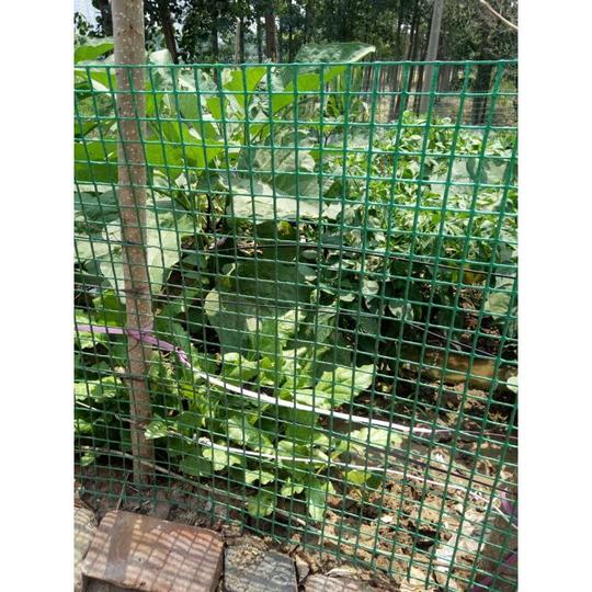 铁丝网养鸡网围栏网鱼塘围网果园围网防护网电焊网植物墙网圈地网
