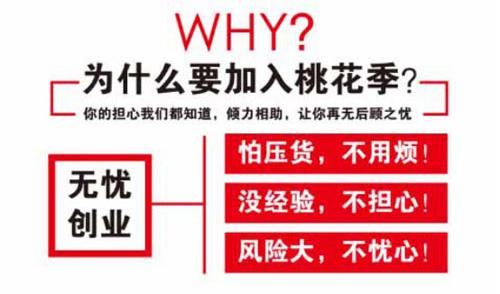 桃花季内衣高州双门面加盟店开业大吉