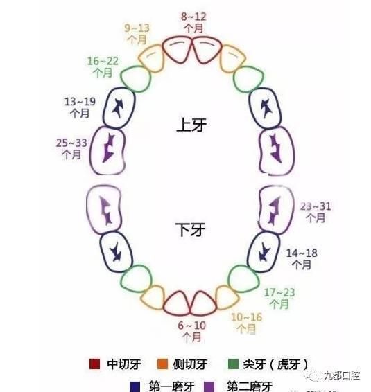 如何保护好宝宝的乳牙?