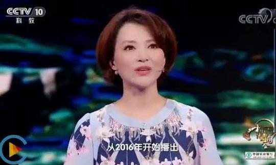 董卿的《中国诗词大会3》1-6期开场白,教科书般的作文素材