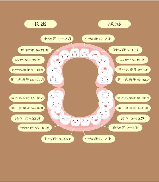 孩子乳牙迟迟不换怎么回事
