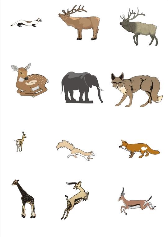 动物素材图片