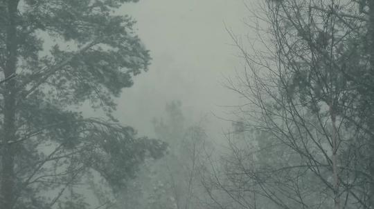 4k冬天山林风雪交加暴风雪_3840x2160_高清视频素材