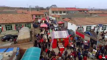 哈尔滨市信义村是哪个镇