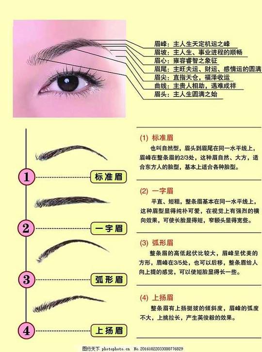 各种眉毛简介眉的主运眉型简介画眉效果眉毛设计psd分层素材